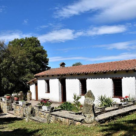 B&B I Menhir Sorgono Buitenkant foto