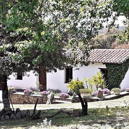 B&B I Menhir Sorgono Buitenkant foto