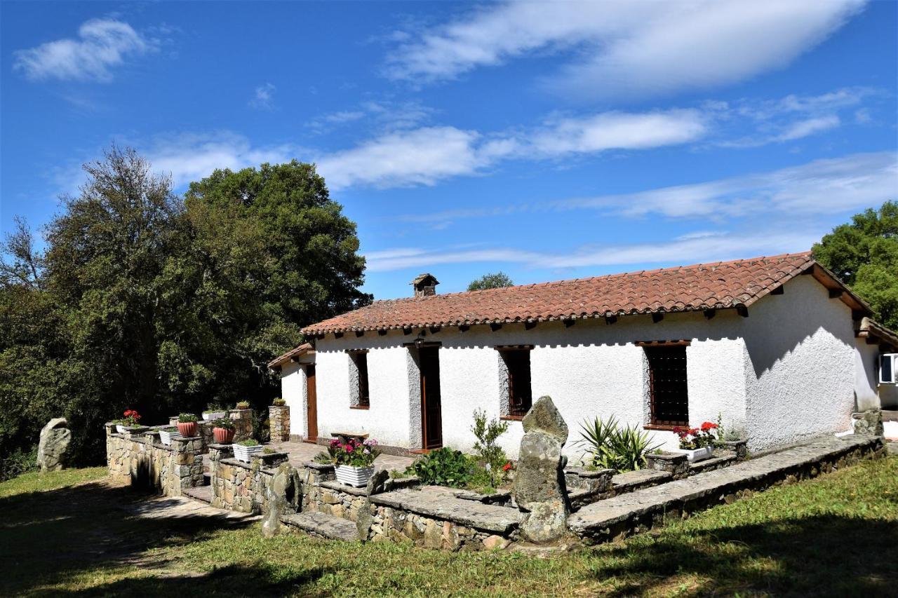 B&B I Menhir Sorgono Buitenkant foto
