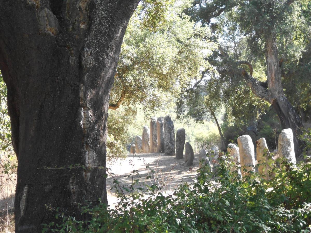 B&B I Menhir Sorgono Buitenkant foto