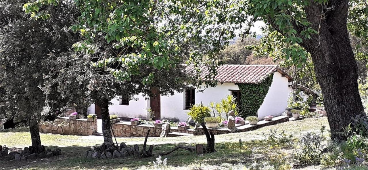 B&B I Menhir Sorgono Buitenkant foto