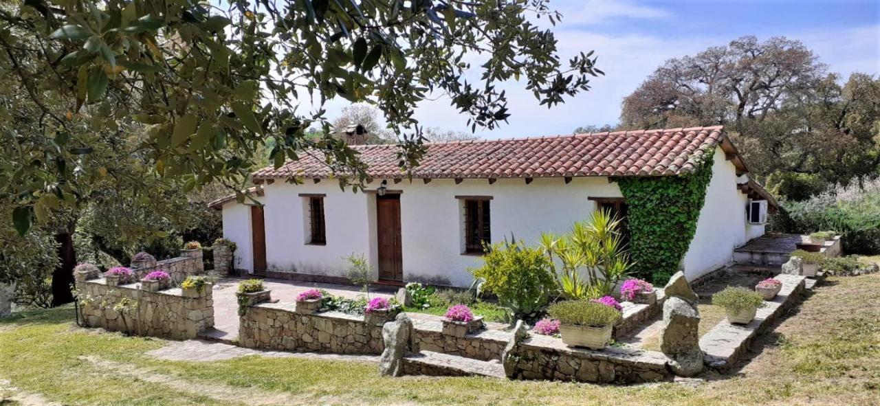 B&B I Menhir Sorgono Buitenkant foto
