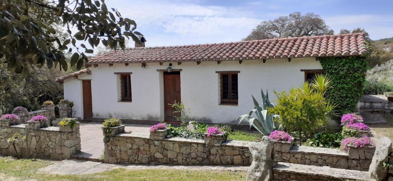B&B I Menhir Sorgono Buitenkant foto