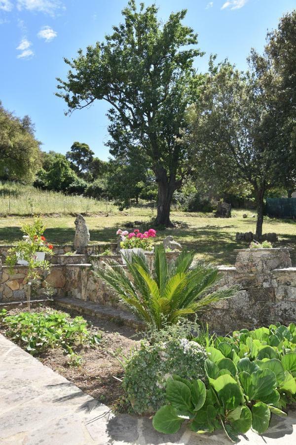 B&B I Menhir Sorgono Buitenkant foto