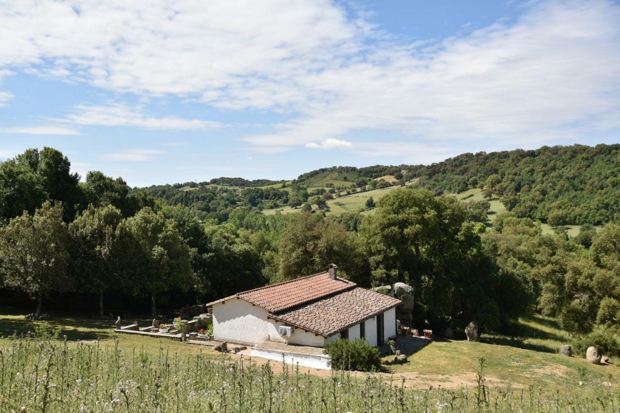 B&B I Menhir Sorgono Buitenkant foto