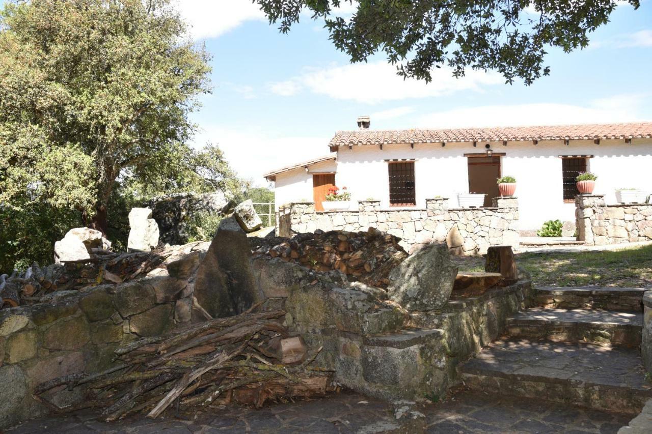 B&B I Menhir Sorgono Buitenkant foto