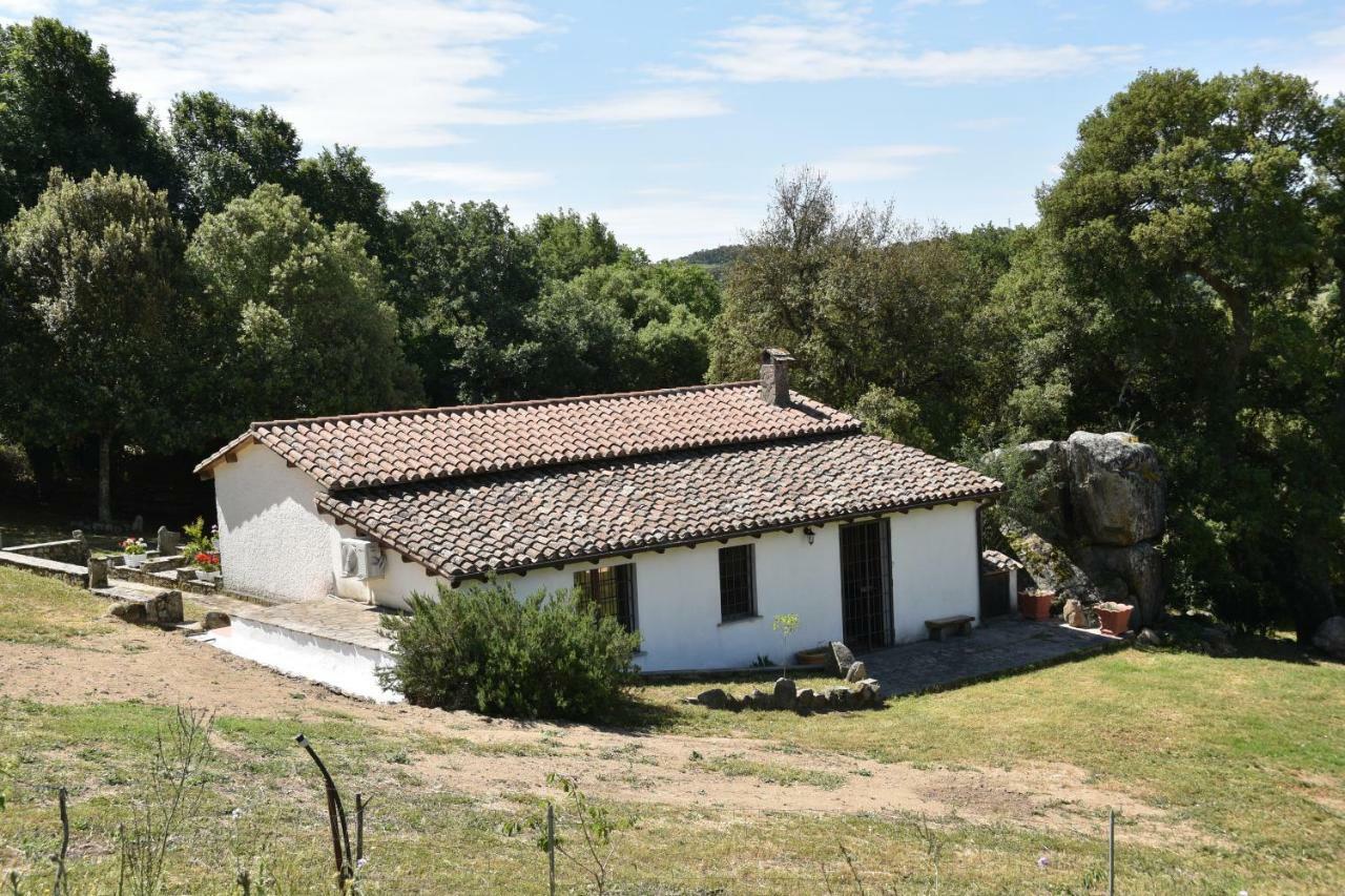 B&B I Menhir Sorgono Buitenkant foto