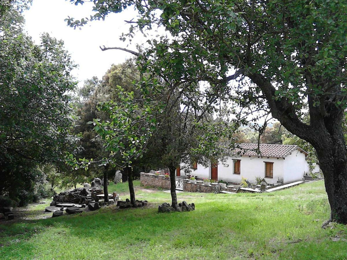 B&B I Menhir Sorgono Buitenkant foto