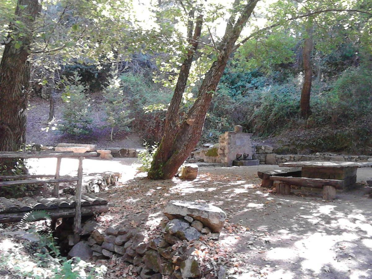 B&B I Menhir Sorgono Buitenkant foto
