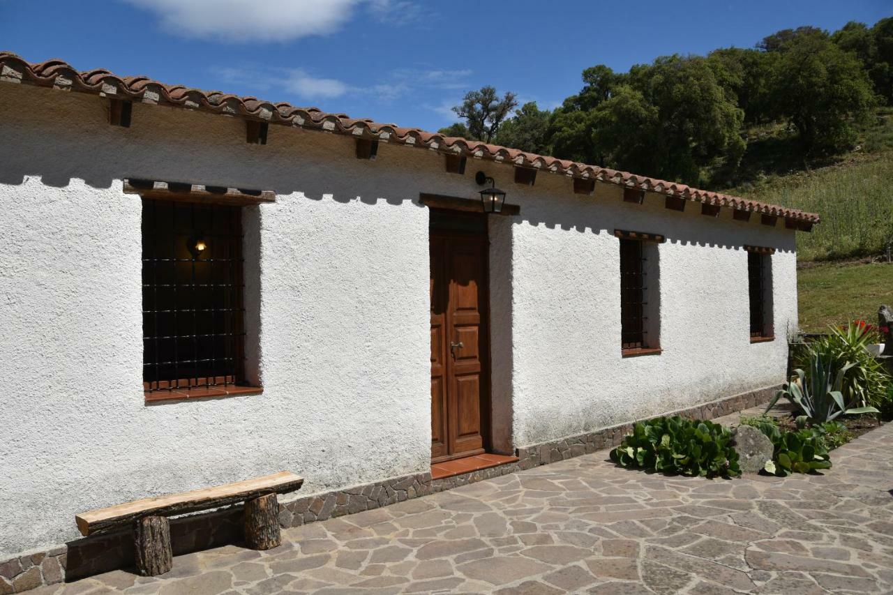 B&B I Menhir Sorgono Buitenkant foto