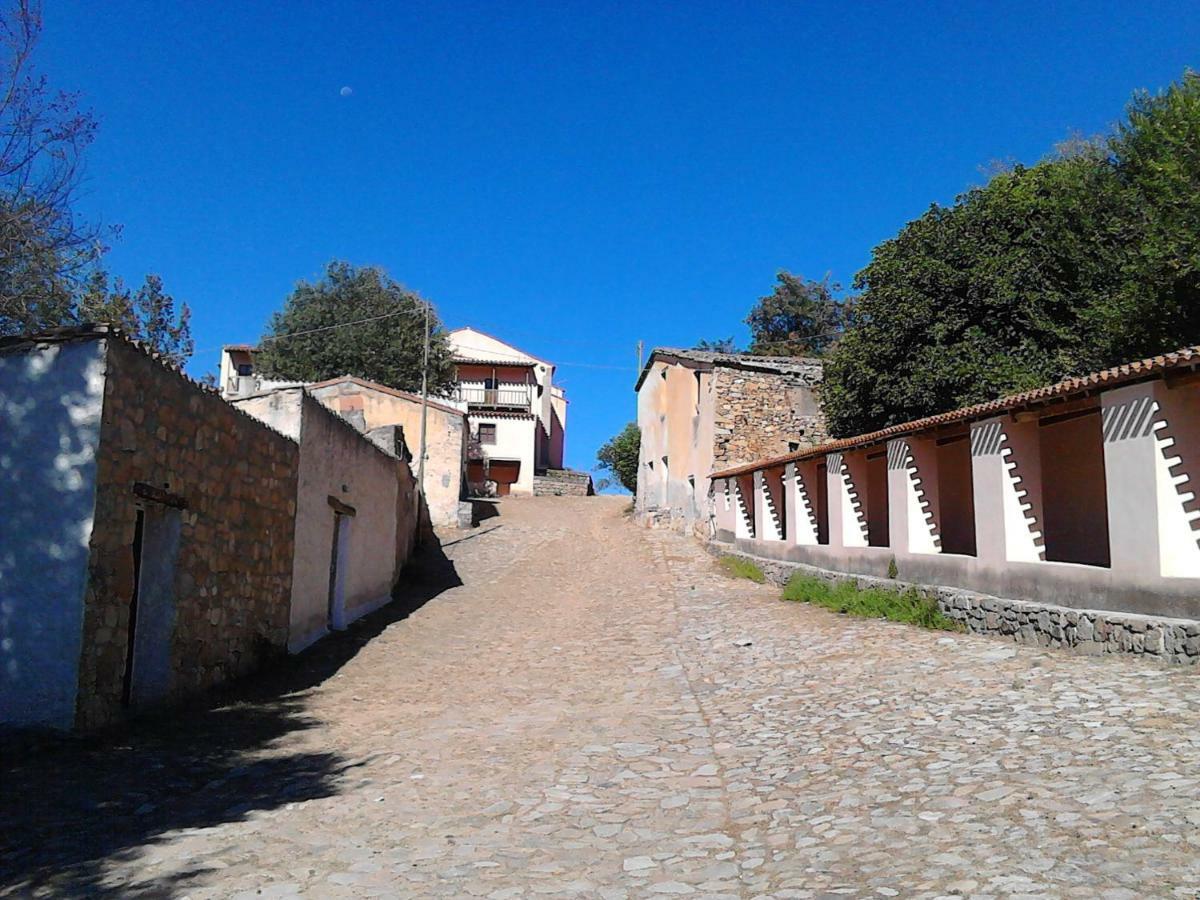 B&B I Menhir Sorgono Buitenkant foto