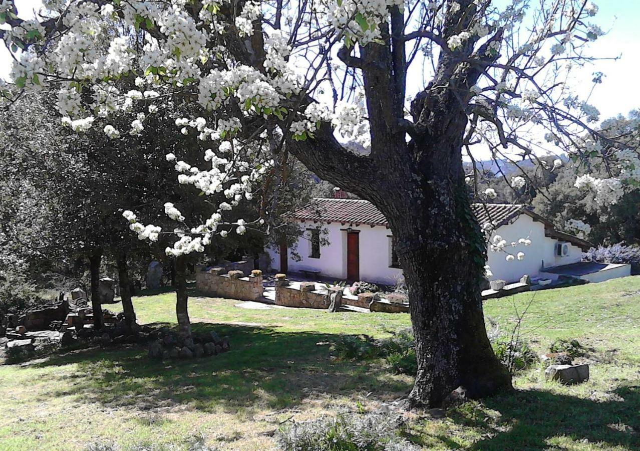 B&B I Menhir Sorgono Buitenkant foto