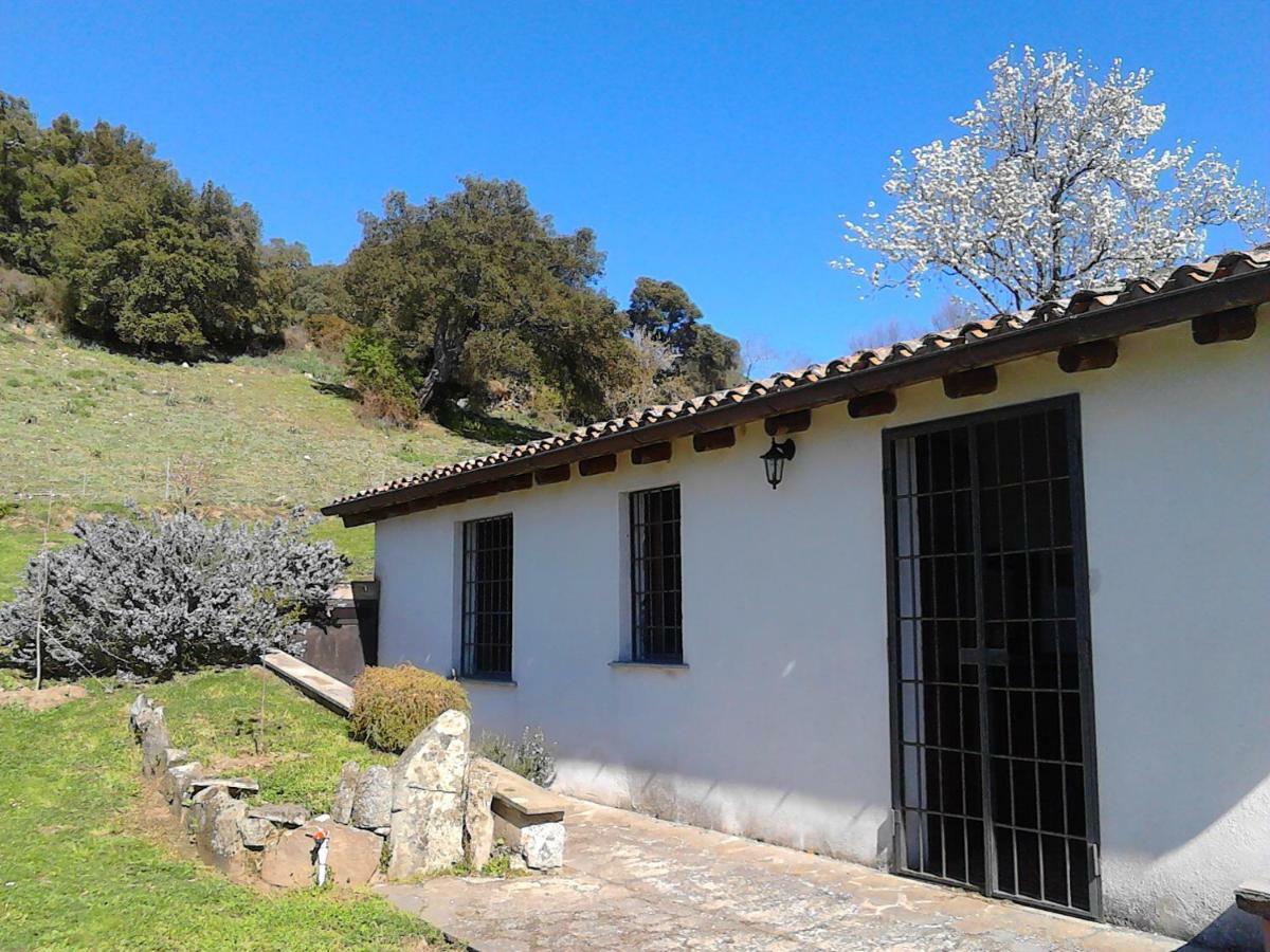 B&B I Menhir Sorgono Buitenkant foto