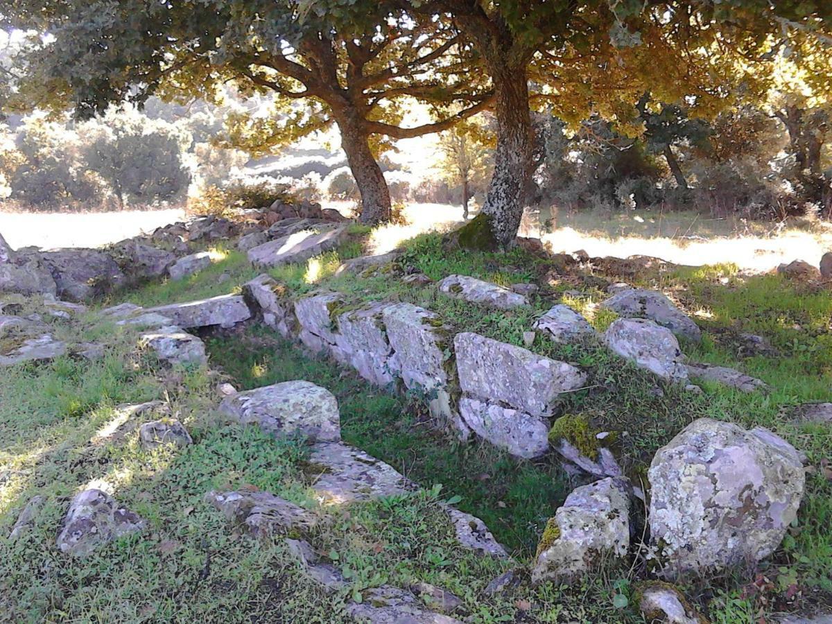 B&B I Menhir Sorgono Buitenkant foto