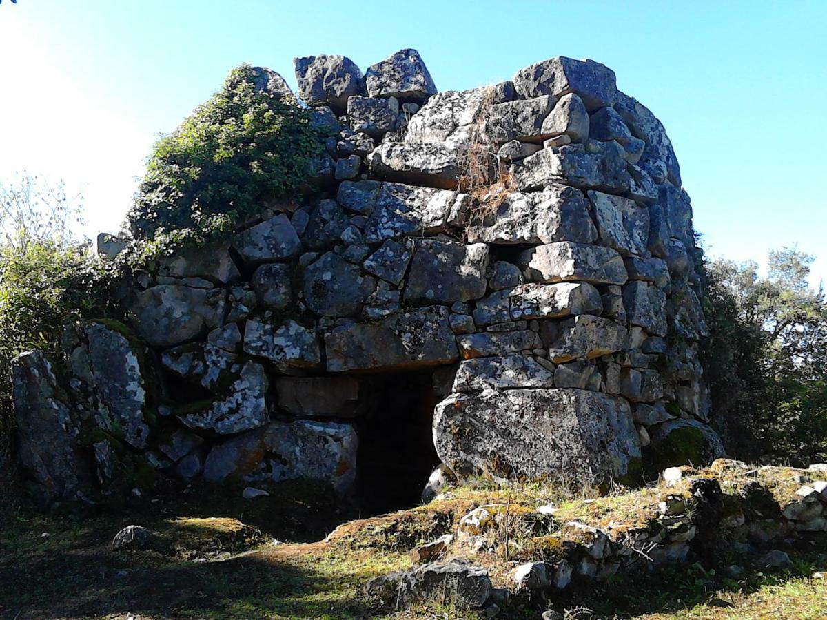 B&B I Menhir Sorgono Buitenkant foto