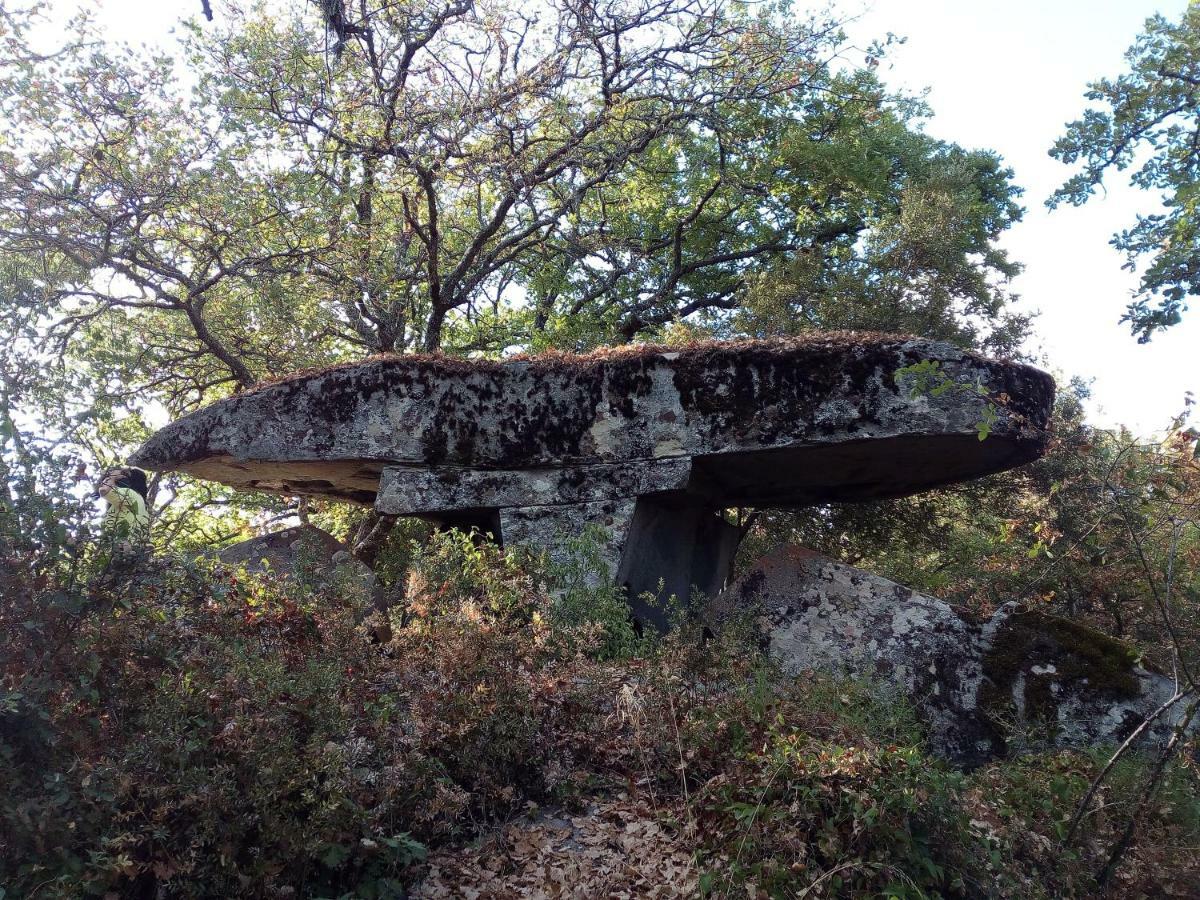 B&B I Menhir Sorgono Buitenkant foto